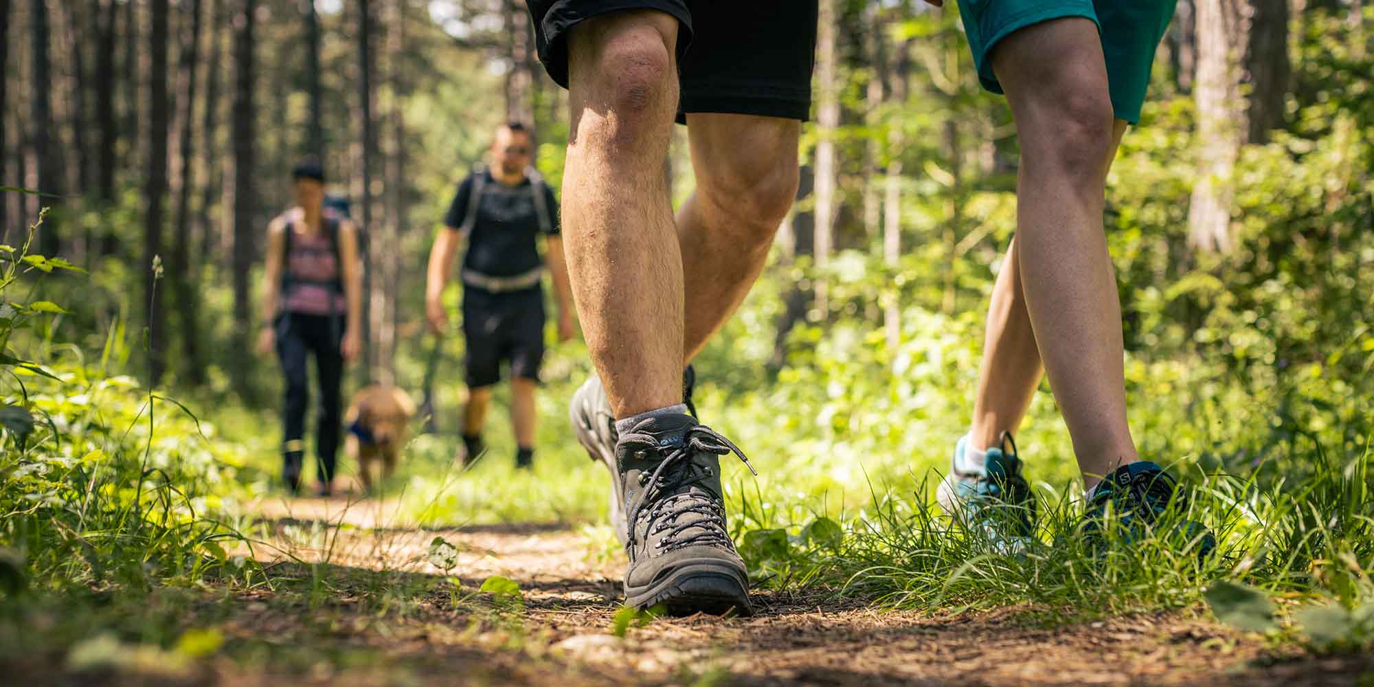 WanderWelt Gemeinde Wuerflach WanderWelt Gemeinde Wuerflach