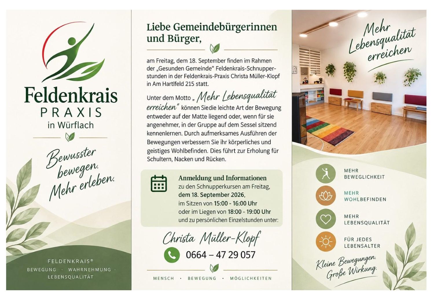 Feldenkrais Info- HP Folder_